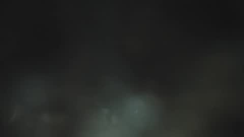 Snapshot of dantee_1_ chatting on December 2025 11:28:01 AM dantee_1_ online show from December 2025 11:28:01 AM