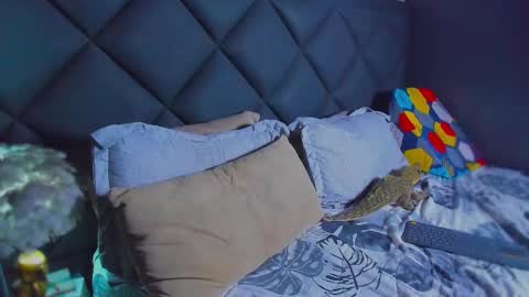 Dany online show from January 2026 06:11:02 PM