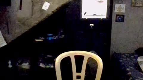 dany_kyng online show from February 2026 02:53:01 AM