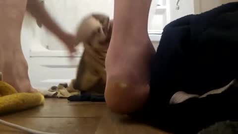 Snapshot of danydevil chatting on November 2025 04:56:01 AM danydevil online show from November 2025 04:56:01 AM