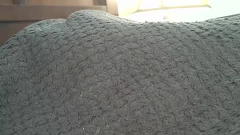 dapppper online show from September 2025 02:20:01 PM