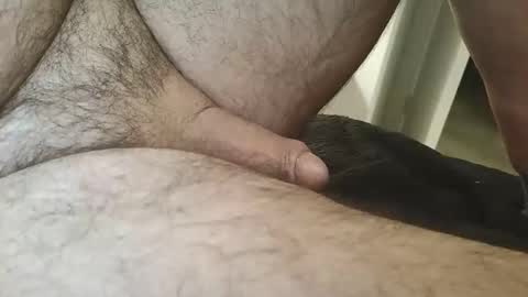 dapppper online show from February 2026 02:24:01 AM