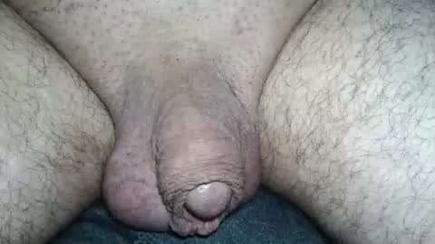 dapppper online show from June 2026 01:41:02 AM