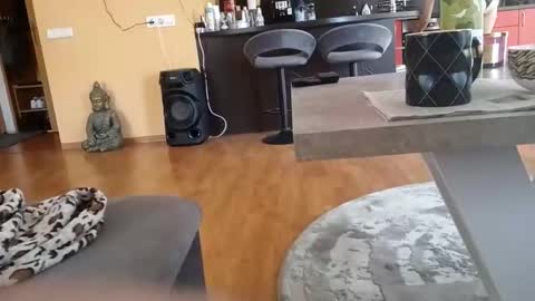 dxd69 online show from April 2026 02:00:02 PM