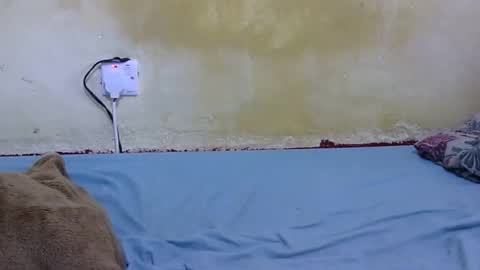 Snapshot of dark_princess1 chatting on February 2026 09:05:01 AM dark_princess1 online show from February 2026 09:05:01 AM