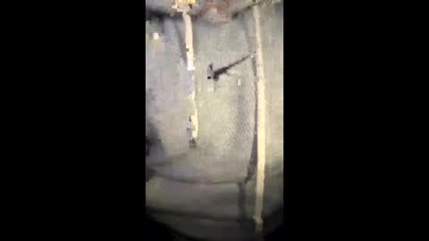 darklight69s25 online show from January 2026 08:45:01 PM