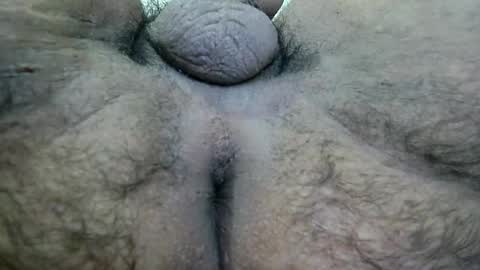 Ran online show from April 2026 12:23:01 AM