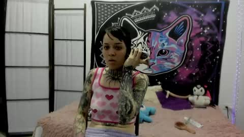 daryimiau online show from April 2026 11:09:02 PM