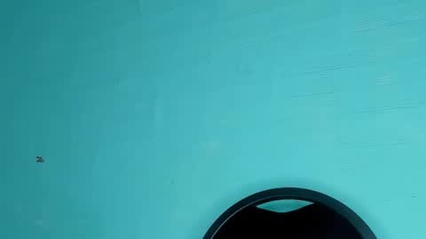 Dafne online show from March 2025 08:48:01 PM