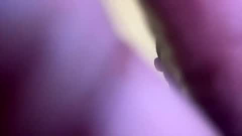 dasquirtmaster online show from May 2026 06:56:02 PM