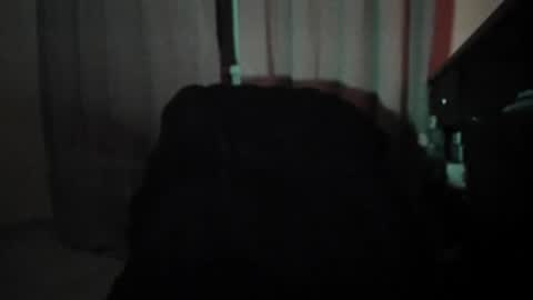 Snapshot of davenotpriest chatting on November 2025 01:06:01 AM dave or nate online show from November 2025 01:06:01 AM