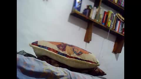 Snapshot of david23vergota chatting on February 2026 10:50:02 PM david23vergota online show from February 2026 10:50:02 PM