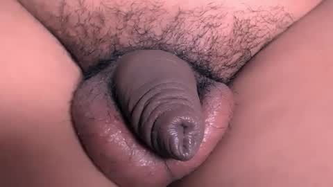 david_hotters online show from October 2025 01:51:02 PM