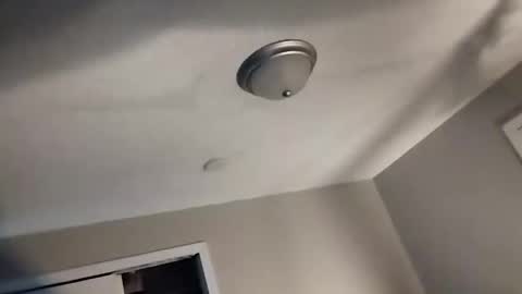 Snapshot of david_stone1969 chatting on January 2025 04:46:01 PM david_stone1969 online show from January 2025 04:46:01 PM