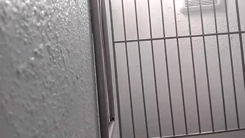 Snapshot of david_stone1969 chatting on January 2025 08:10:02 PM david_stone1969 online show from January 2025 08:10:02 PM