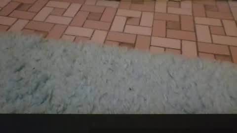 David online show from April 2026 04:05:02 PM