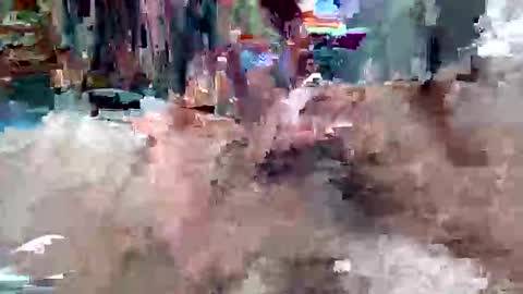 davidmarioslick online show from May 2026 01:04:02 PM