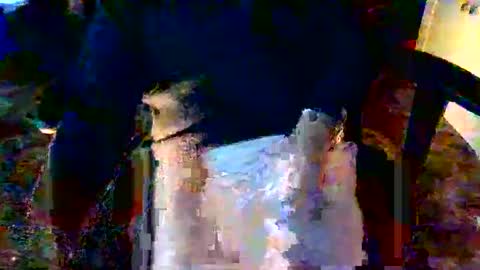 davidneedmore online show from March 2026 02:34:01 PM