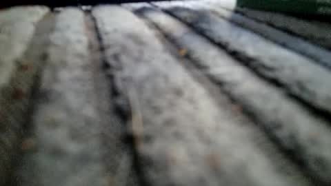 Snapshot of davros8621 chatting on November 2025 01:13:01 PM davros8621 online show from November 2025 01:13:01 PM