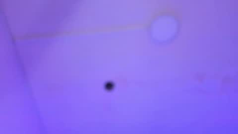 dayana_harlow2 online show from January 2025 01:16:02 AM