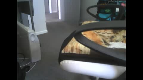 Dazzle68 online show from March 2026 10:48:01 PM