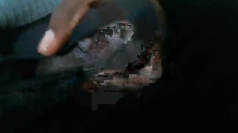 Snapshot of dbizzlenyc chatting on February 2025 09:19:01 PM dbizzlenyc online show from February 2025 09:19:01 PM