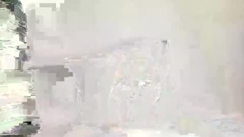dcsprwls online show from May 2026 09:11:02 PM