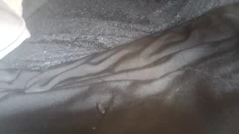 ddick0303 online show from June 2026 06:47:02 AM