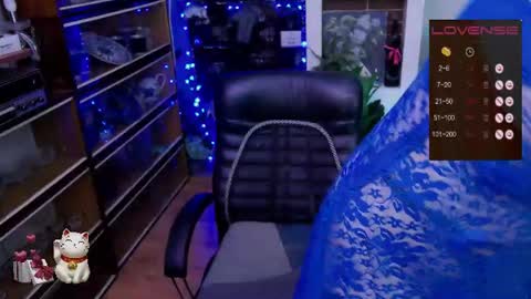 Delicacat online show from June 2026 10:08:01 AM