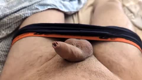 LilRoach online show from February 2025 02:04:02 PM