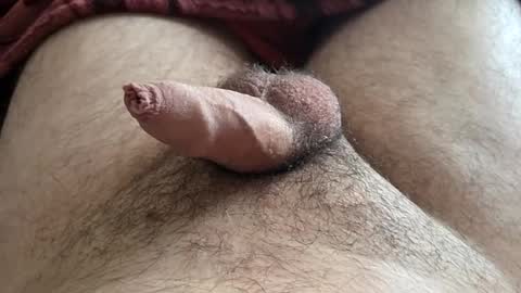 LilRoach online show from November 2025 03:28:02 PM