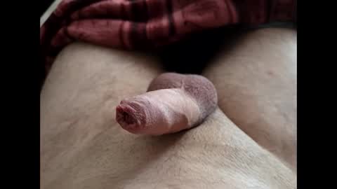 LilRoach online show from February 2026 02:05:01 PM