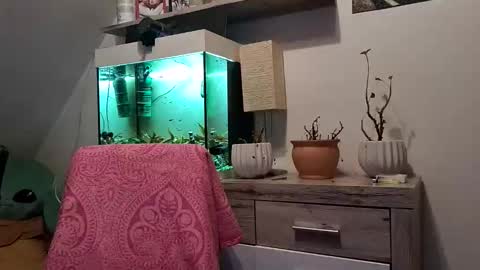 Denise and Brad online show from February 2026 05:07:02 PM