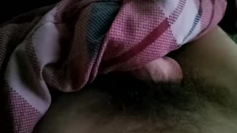 der_wanderer12 online show from November 2025 11:32:02 AM