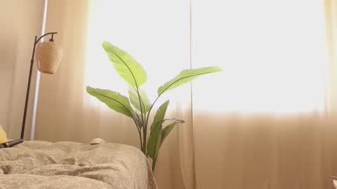 ...Ill be back ... online show from March 2026 07:25:01 AM