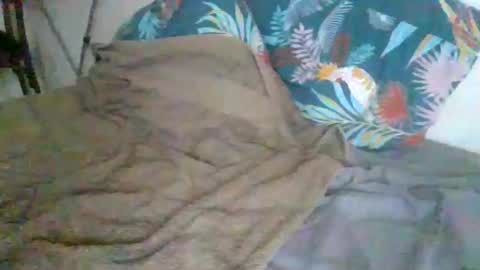 Snapshot of dexterwatchme chatting on January 2026 11:15:01 AM dexterwatchme online show from January 2026 11:15:01 AM