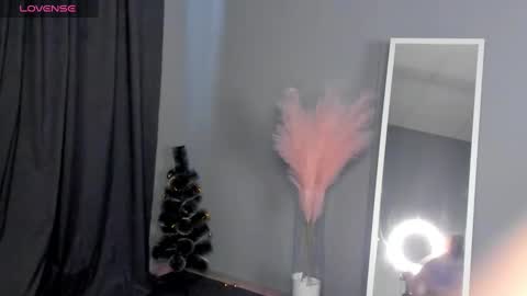 Snapshot of dianne_davis chatting on January 2025 09:36:02 AM Dianne online show from January 2025 09:36:02 AM