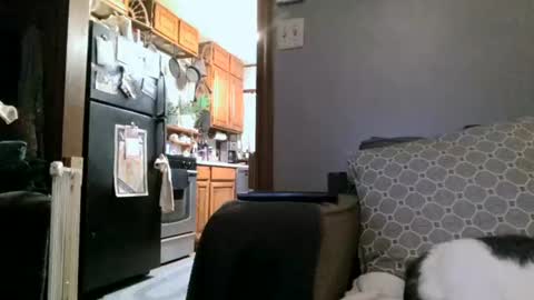 dickwack4u online show from January 2025 04:01:02 AM