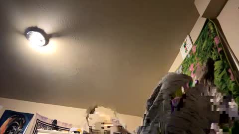 Snapshot of digbickjay42099 chatting on December 2024 11:07:02 AM digbickjay42099 online show from December 2024 11:07:02 AM