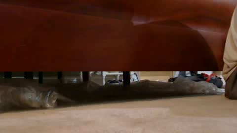 dildosnme22 online show from August 2026 07:29:01 AM