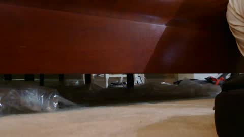 dildosnme22 online show from August 2026 09:04:01 AM