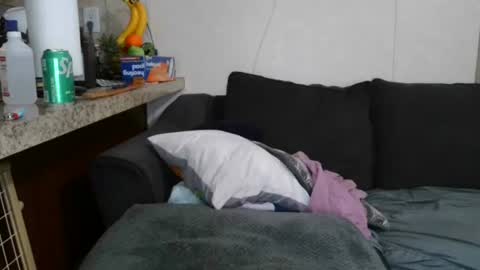 Sofie online show from November 2025 09:31:01 AM