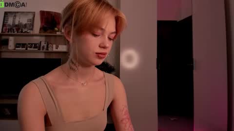 Dina online show from December 2025 08:41:02 AM