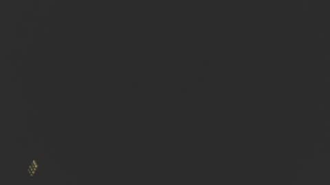 Snapshot of dinchtcams chatting on February 2025 10:04:02 AM Dincht online show from February 2025 10:04:02 AM