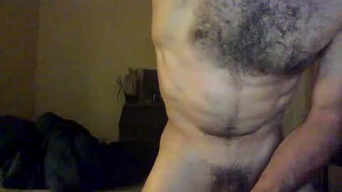 Dingler online show from July 2026 03:44:01 AM