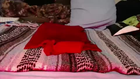 dino9999999 online show from March 2026 09:49:02 AM