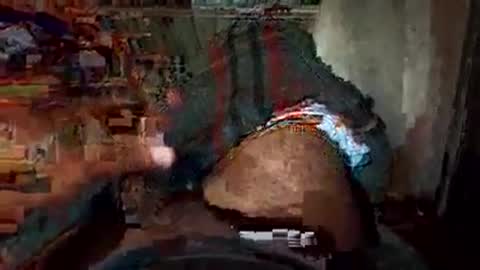 dyno online show from November 2025 02:10:01 AM