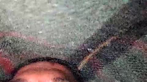 dyno online show from December 2025 05:31:02 PM