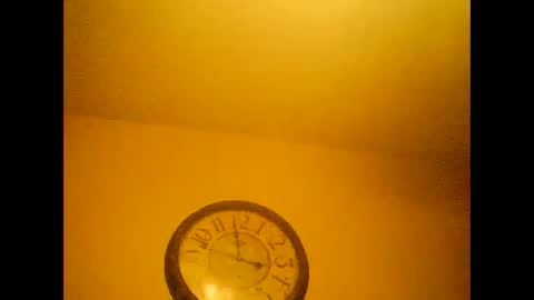 Snapshot of dipstik11 chatting on January 2025 06:49:01 PM DIPSTIK online show from January 2025 06:49:01 PM