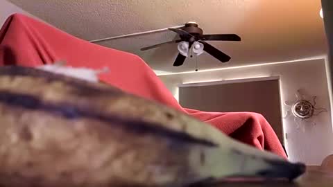 Snapshot of dipstik11 chatting on October 2025 06:17:02 PM DIPSTIK online show from October 2025 06:17:02 PM